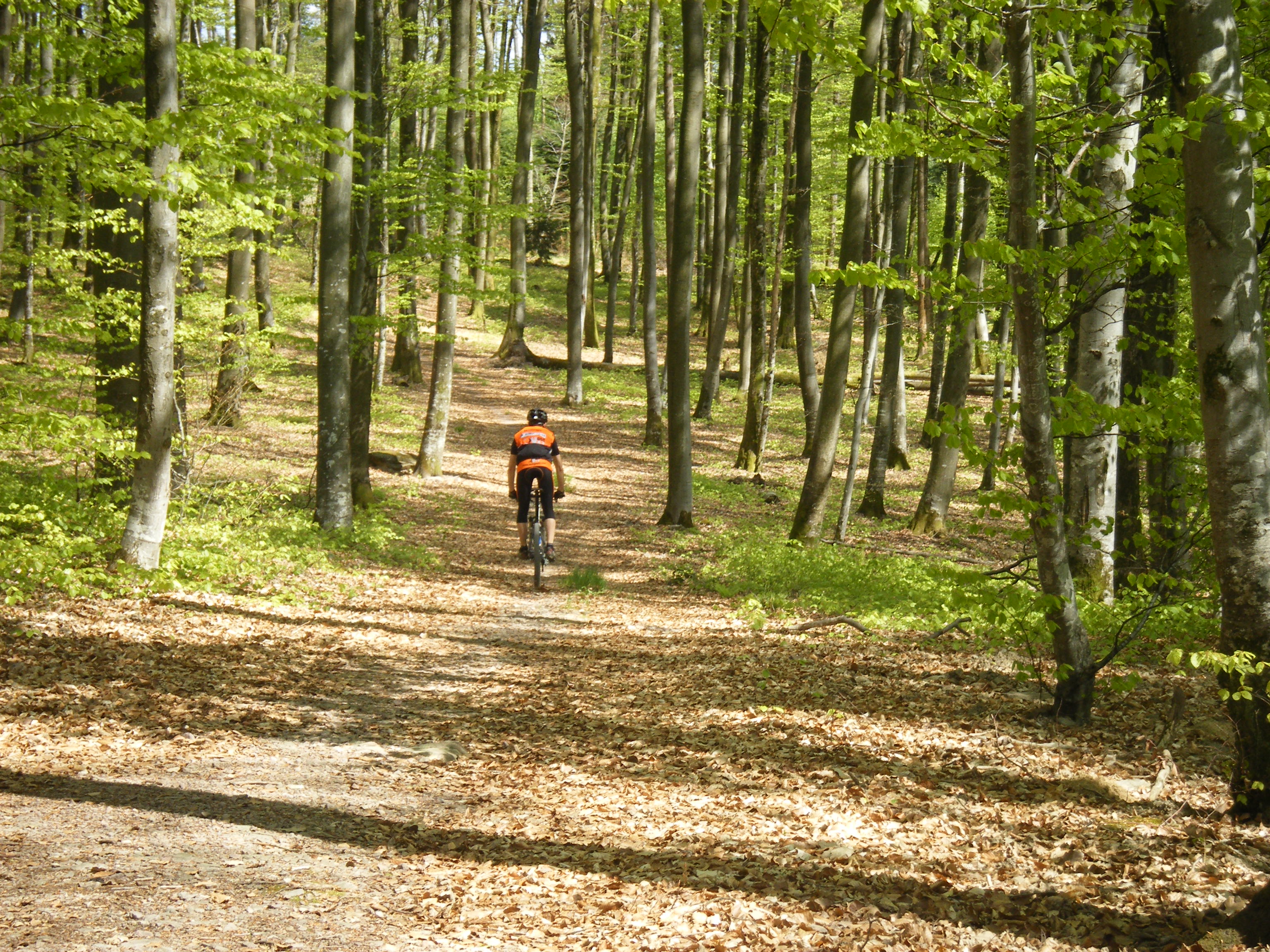 hebergement-vtt-competition-rando-vosges