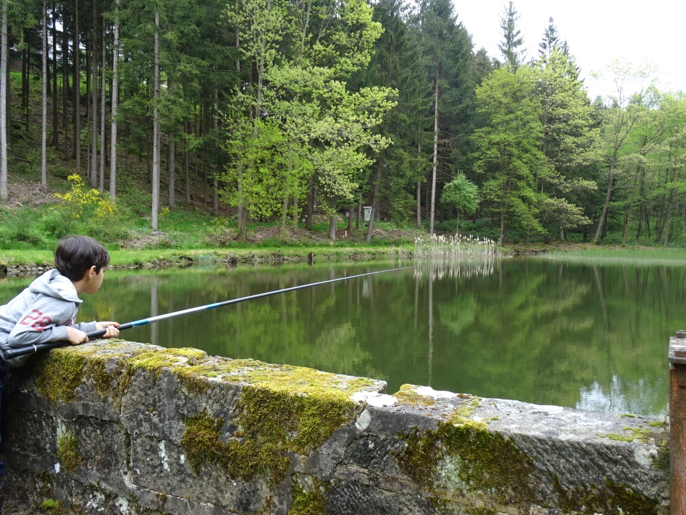 Etang-de-peche-2